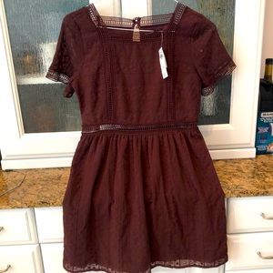 Abercrombie and Fitch NWT lace dress size xs wine color.